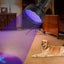 Battery Operated?128 UV LED Flashlight?Pet Urine Detector Carousel 5