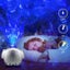 4 in 1 LED Galaxy Night Light Projector and BT Speaker-USB Rechargable Carousel 6