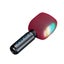Type C Charging Wireless Karaoke Microphone and Speaker Carousel 3