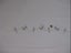 Vintage Cot Sheet Baby White 100% Cotton Adorable Blue Bunnies Embroid Immac Carousel 3