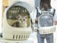 Dog Backpack Carrier Bag Transparent - Creamy white Carousel 1