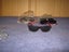 5 x Sunglasses Carousel 1