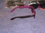 5 x Sunglasses Carousel 5
