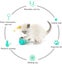 Cat Toys For Indoor Cats, Cat Treat Toy, Balance Car Design With Catnip Iq Train Carousel 4