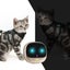 GPS Pet Collar Tracking System Device Carousel 6