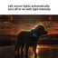 GPS Pet Collar Tracking System Device Carousel 7