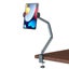 Desk Bed Tablet Stand Adjustable for 4-12.9 Inches Mobile Phones Carousel 1