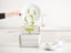 Joseph Joseph Compo 4 Food Waste Caddy Carousel 5