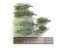 Artificial Flowers Plants Carousel 2