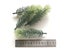 Artificial Flowers Plants Carousel 5