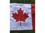 Canadian Flag 90 150cm 3x5fts Hanging Polyester Banner For Decoration Carousel 3