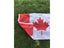 Canadian Flag 90 150cm 3x5fts Hanging Polyester Banner For Decoration Carousel 4