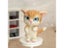 Non-Finished Felt Kit Lovely Naughty Cat Wool Needle Felting DIY Handcarft Carousel 4