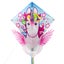 KITE'S READY 2 FLY - POP UP NYLON DIAMOND - UNICORN - PATENTED POPUP SYSTEM- KIT Carousel 2