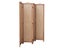 Room Divider Carousel 7
