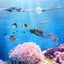 New Aquarium Decoration Accessories Mini Samll Ornaments Plant Stones Dec CHK29M Carousel 10
