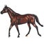 Loading Image 1 of 2
