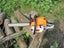 chainsaw 52cc 16" bar Carousel 3