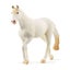 Schleich Farm World - Camarillo Mare Carousel 1