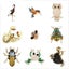 1pc Animal Brooch Crystal Vintage Dragonfly Brooches for Women Insect Bro CHK29M Carousel 7