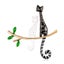1pc Animal Brooch Crystal Vintage Dragonfly Brooches for Women Insect Bro CHK29M Carousel 2