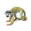 Loading Image 1 of 6