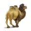 Loading Image 2 of 4