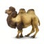 Loading Image 4 of 4