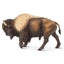 Loading Image 1 of 6
