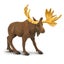 Loading Image 4 of 4