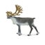 Loading Image 1 of 5