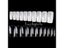 500PCS 10 Sizes White/ Clear /Natural False French Style Acrylic UV Gel Nail Carousel 8