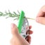 Loading Image 1 of 6