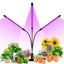 USB Powered LED Plant Growth Phyto Lamp Carousel 11