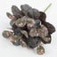 Artificial Plants Leaves Silk Tortoiseshell Leaf Dieffenbough Fake Small CHK29M Carousel 5