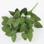 Artificial Plants Leaves Silk Tortoiseshell Leaf Dieffenbough Fake Small CHK29M Carousel 6