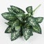 Artificial Plants Leaves Silk Tortoiseshell Leaf Dieffenbough Fake Small CHK29M Carousel 7