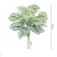 Artificial Plants Leaves Silk Tortoiseshell Leaf Dieffenbough Fake Small CHK29M Carousel 3