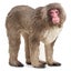 Loading Image 1 of 2
