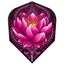 Loading Image 1 of 1