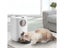 PTN NEW Automatic Pet Feeder Sale Sale Carousel 5