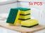 Sponge Scourers 10cm 5PCS Carousel 1