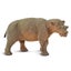 Loading Image 1 of 6