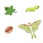 Loading Image 2 of 2