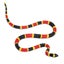 Safari Ltd Coral Snake Baby XL Carousel 1