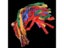 Sport Art Gymnastic Dance Rainbow Ribbons Rhythmic Gymnastics Exercises Carousel 5