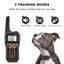 1000m Electric Pet Dog Training Collar Waterproof Rechargeable with 0ne collar Carousel 4
