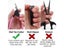 Nail Clippers Carousel 7