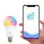 Wi-Fi Enabled 9W Color Changing Smart LED Light Bulb Carousel 11