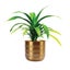 Daru Indoor Metal Planter 21cm - Brass Finish Carousel 2